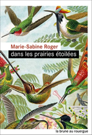 Dans les prairies étoilées (La brune)